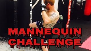 Fight Training Mannequin Challenge