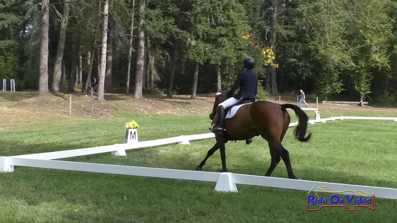 horseshoe bend 138D Samantha Bergin on Rainland Gabriel Open Training Dressage Aspen Farms September 2019