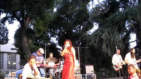 "One Thousand Year of Tarantula" by Dengue Fever (Live)