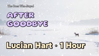 Download Lagu After Goodbye — A Voice That Understands You | Lucian Hart (1 Hour) MP3