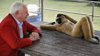 When Animals Being Absolutely Hilarious With Their Human 😂