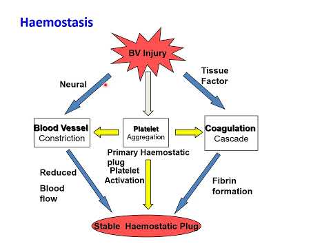 Bleeding and Coagulation Disorders: Relevance to Dental Surgery