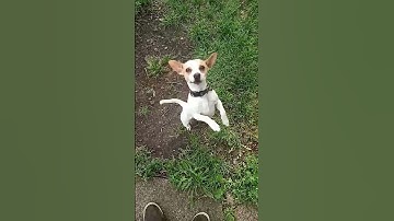 June 4, 2024 need money  x rays $payitcashap 1.00.000.00 don