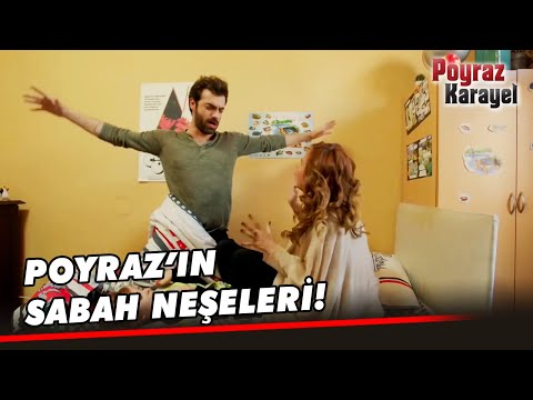 Poyraz, Ayşegül ve Sinan'la Uğraştı! - Poyraz Karayel 52. Bölüm