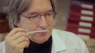 Dr.Vranjes ムービー