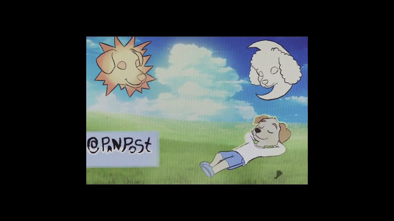 Sallis Comeback-Terra Te Espera