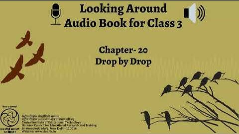 Chapter  20 Drop by Drop