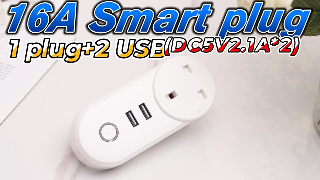 16A Smart plug 1 plug+2 USB(DC5V2.1A*2) Offline reminder APP control ...