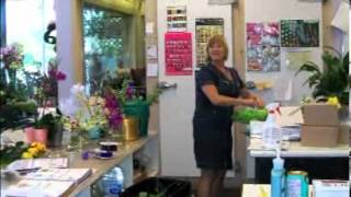 Raymond's Flower Shop in Waterloo, ON - Goldbook.ca