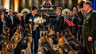The Nurse Was Asked to Leave the Memorial — Then 7 K9 Dogs Broke Formation