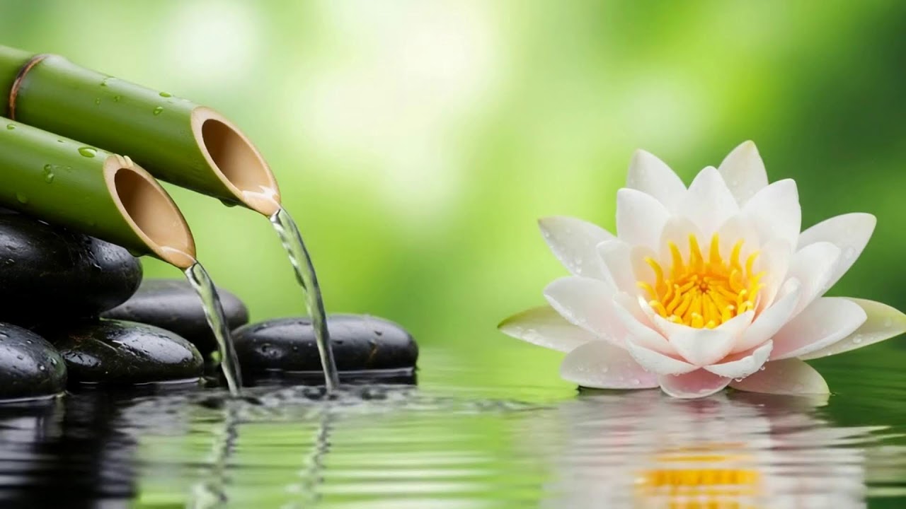 Water Calm Instruments Calming Music for Deep Sleep and Relaxation – Gentle Water Sounds to ...