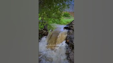 جمعة مباركة حالات وتساب ليلة ويوم الجمعة أكثروا من الدعاء والصلاة والسلام على الرسول ص.قرآن كريم ¶✓√