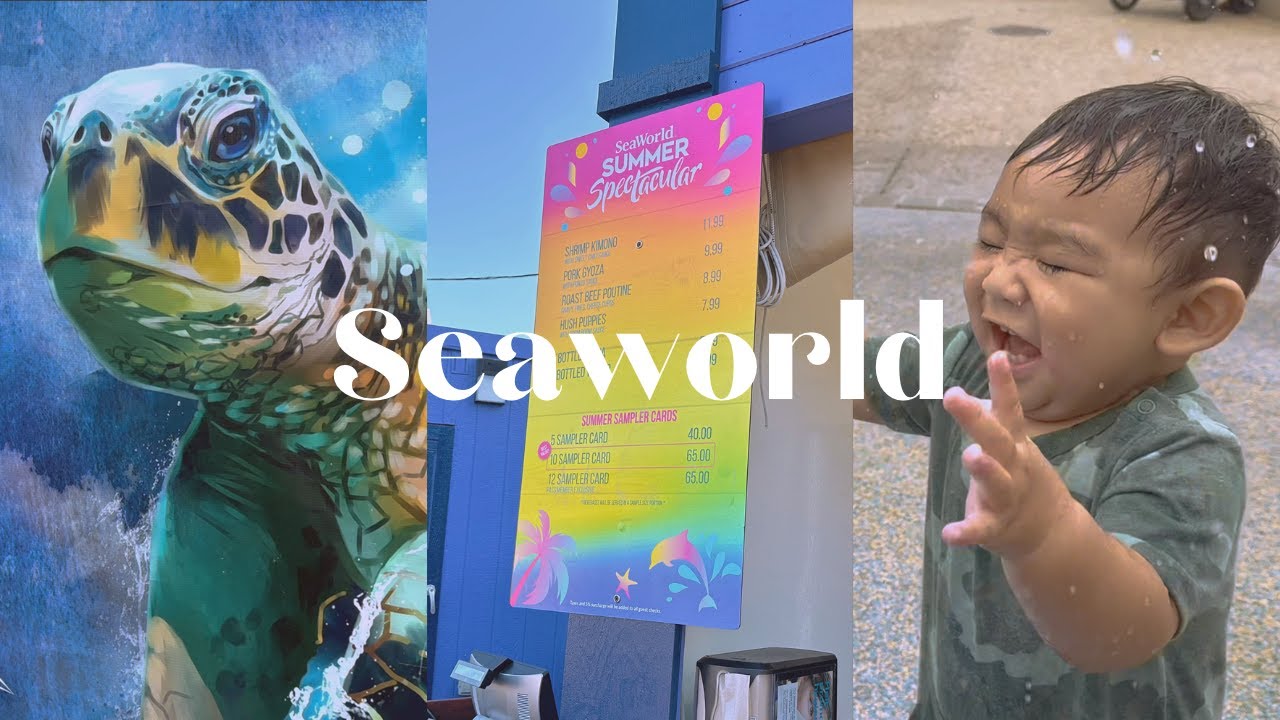 Travel Vlog SeaWorld San Diego Point Loma Seafood USS Midway YouTube travel-vlog-seaworld-san-diego-point-loma-seafood-uss-midway-youtube