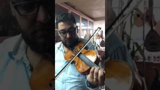 Kemal Inci Den Brown Color Violin