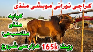 Norani Mandi Karachi New Rates and Bargaining Update Bakra Eid 2026