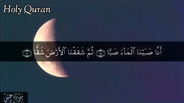 80 سورة عَبَسَ بصوت الشيخ | مشاري بس راشد العفاسي