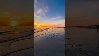 Best Beautiful Sunset Nature Videography Hd Nature Videos Hd Background Videos