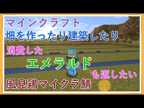 [畑作ったり]まったりマインクラフト[建築したり]