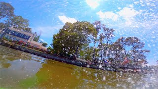 splash