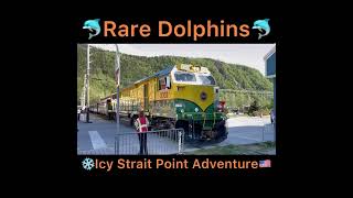 🇺🇸Finding Rare Dolphins in Alaska, Where to See Rare Dolphins in Alaska Adventure