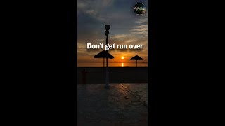 Don't get run over!!! Quote by Will Rogers; Photo by Sabeed P #motivation #inspirationalquotes Profile