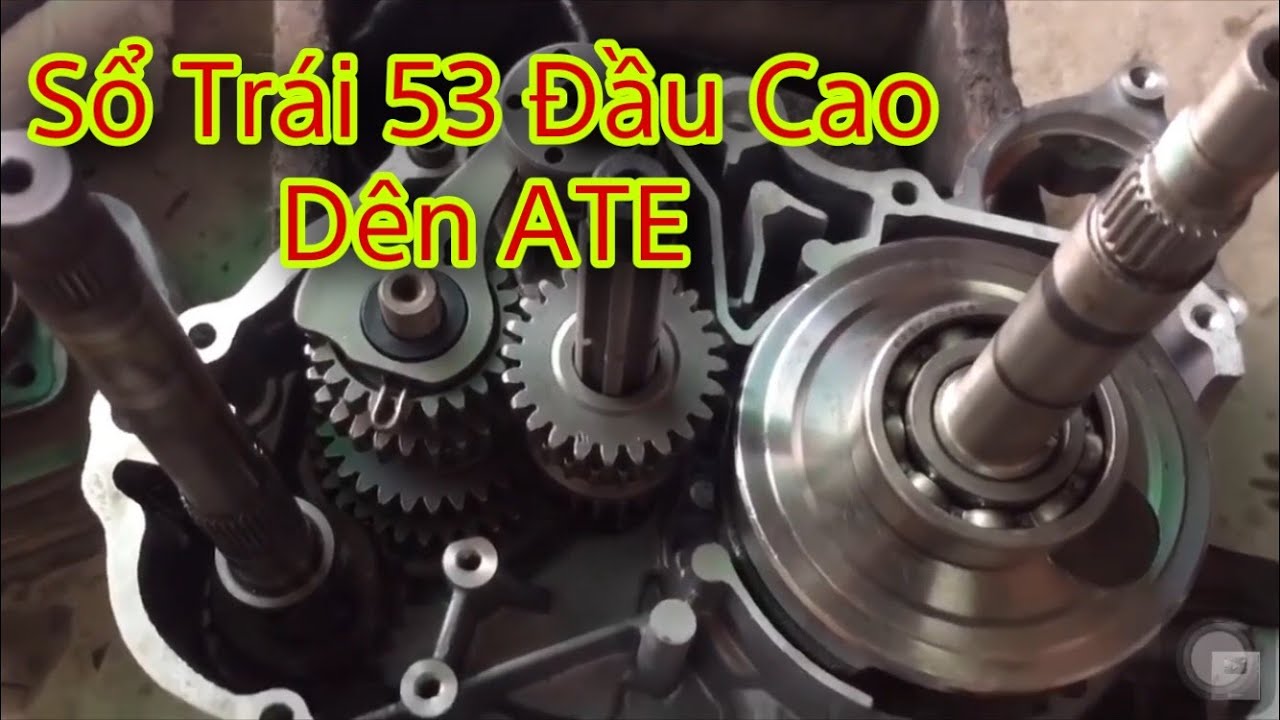 Dream Dên ATE Sổ Trái 53 Đầu Cao - youtube