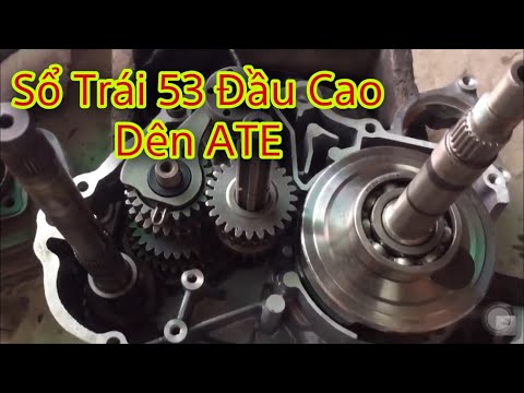 Video Dream Dên ATE Sổ Trái 53 Đầu Cao - youtube