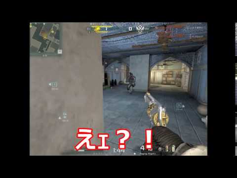 【AVA】What?【いぐお】