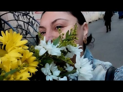 მილიონი საქმე დღეში 🤷 აბა როგორ ხართ?! არა ქუჩაში ძაღლებს 🥹🙏 გვეშინიაააააა!