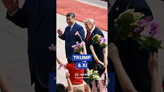 Trump and Xi meet in Beijing