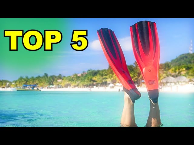 Lot De 2 Attaches Antidérapantes Réglables Pour Palmes De Plongée