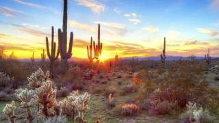 Play video: Dr. Gary McCracken Scottsdale Dermatologist