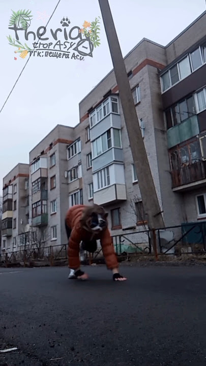 🐾★𝙺𝚅𝙰𝙳𝚁𝙾𝙱𝙸𝙺𝙰★🍂 { #квадробика #териан #териантропася }