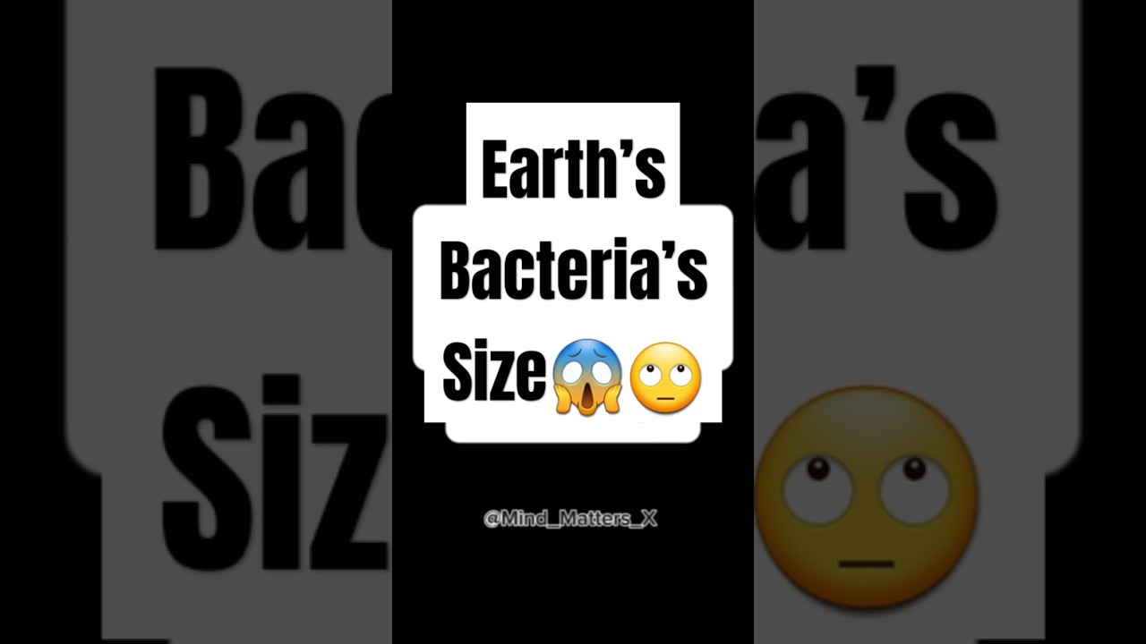 How Far Could Earth’s Bacteria Really Reach? 😱🙄 