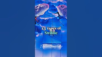 13 types of swiftie. Which one are you? #taylor #taylorswift #swifties