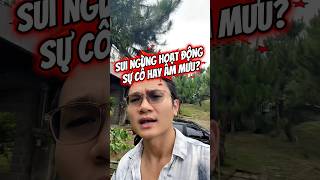 Sui liên tục gặp lỗi ngừng hoạt động, điều gì đang thật sự xảy ra?