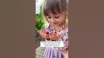 Saved a Hummingbird from a playing Mantis!#hummingbird