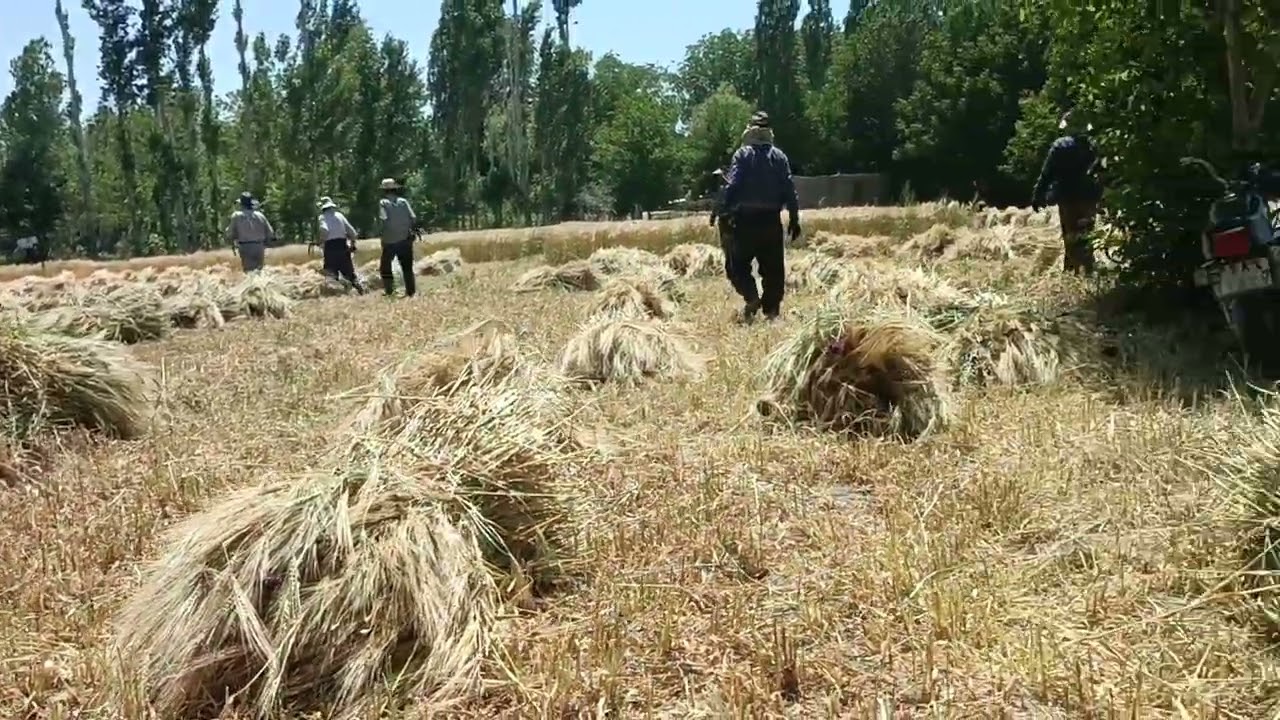 ۱۶ فوریهٔ ۲۰۲۶