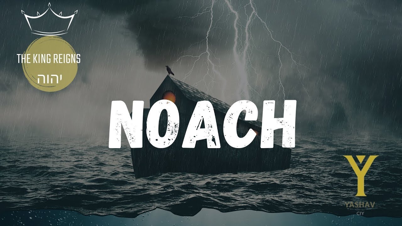 NOACH | Torah Portion @IsraelYarah @YASHAVCIY