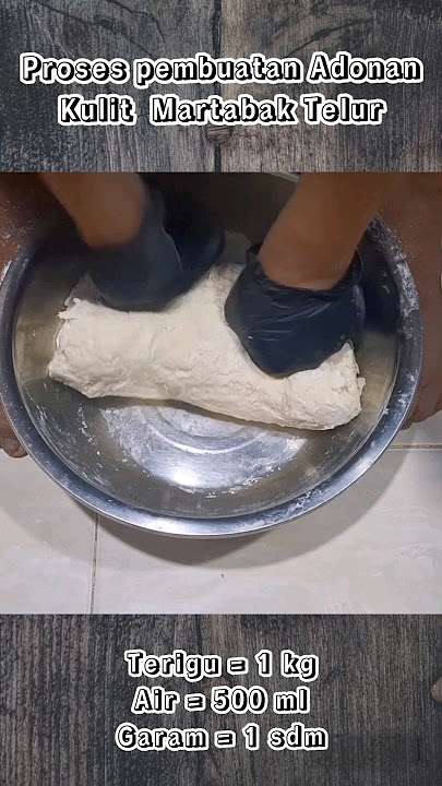 Resep Kulit Martabak Telur