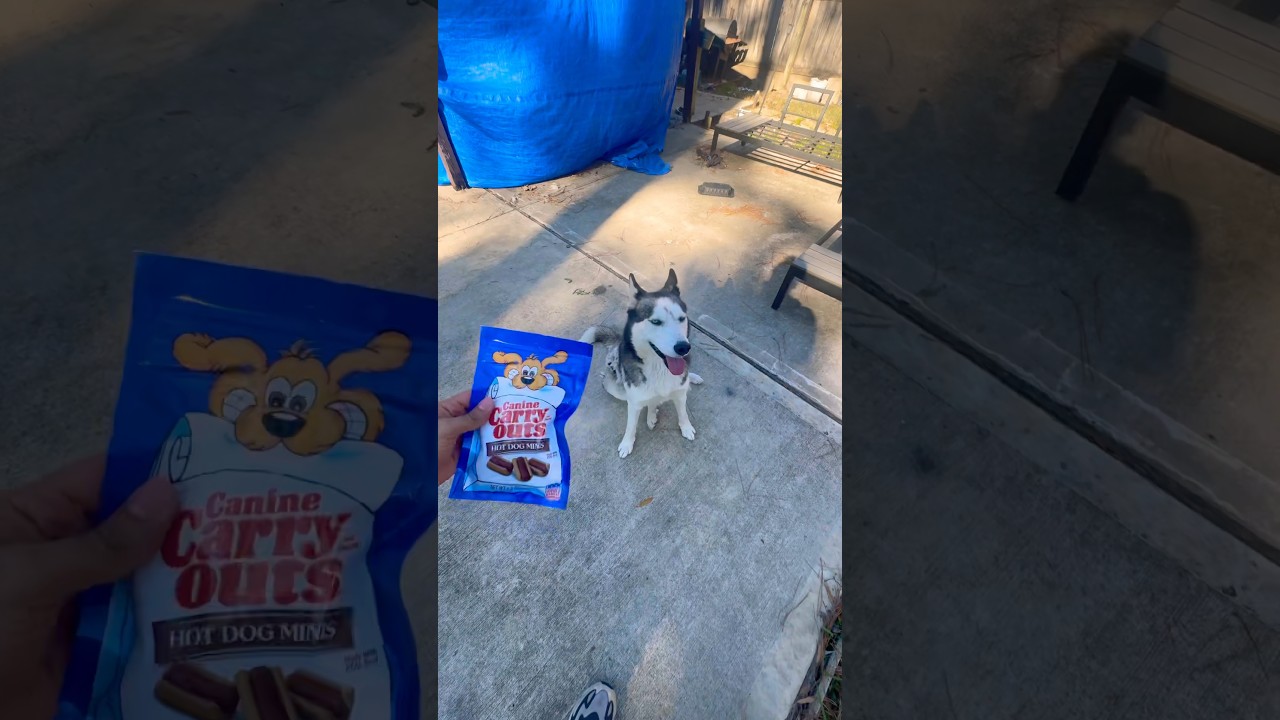 Она тебя очень любит! 