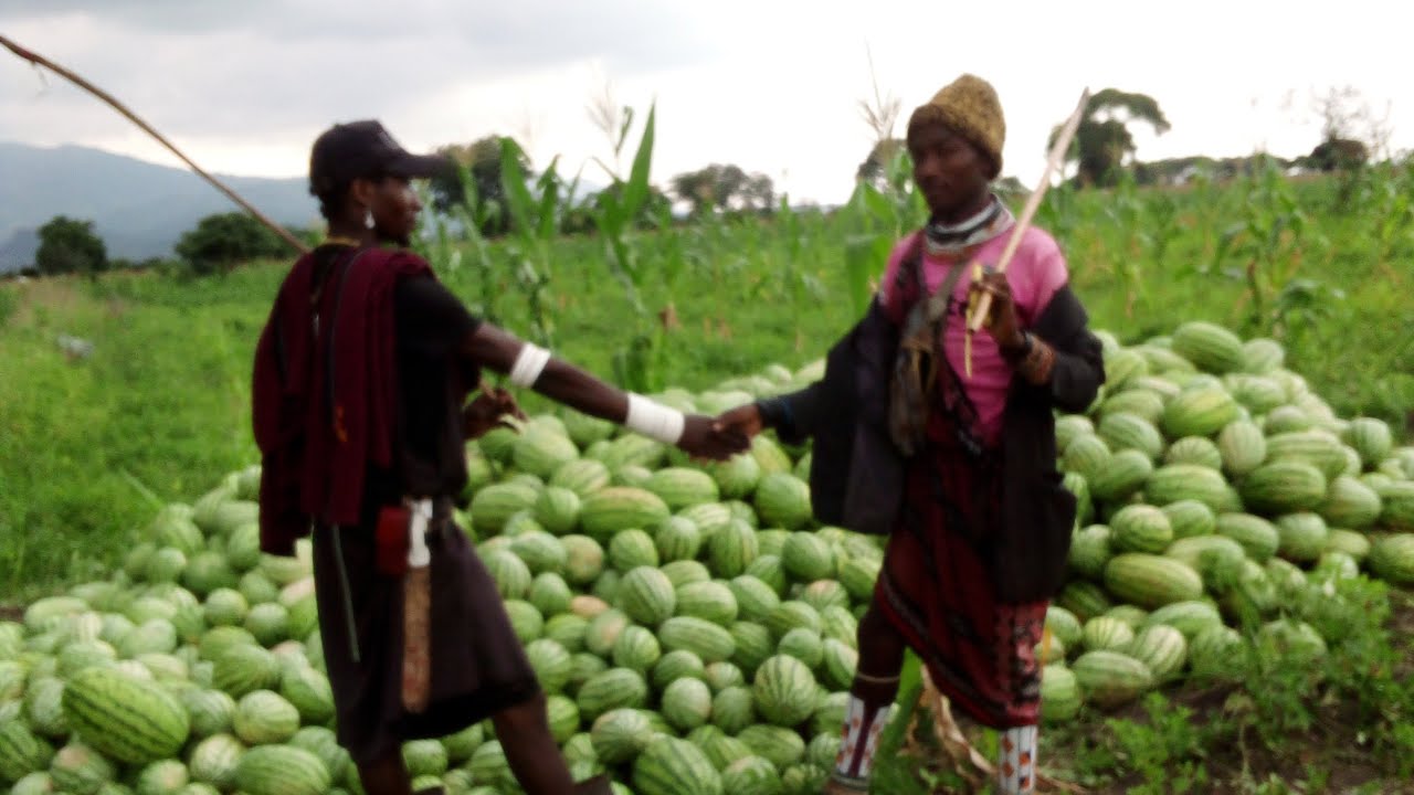 SHIGELA DASE UJUMEWA KIKUNDI CHA SIMBA