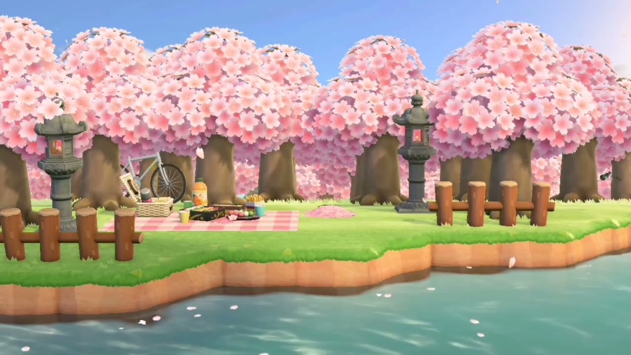 Riverside Sakura Cherry Blossom Ambience | River Sounds | Bird Singing