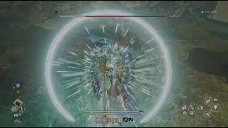 CODE VEIN II - Resurgence Zealot - No damage