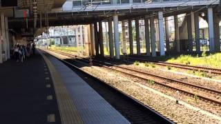 湘南新宿ラインE233系3000番台コツE-65 コツE-12 辻堂駅通過シーン