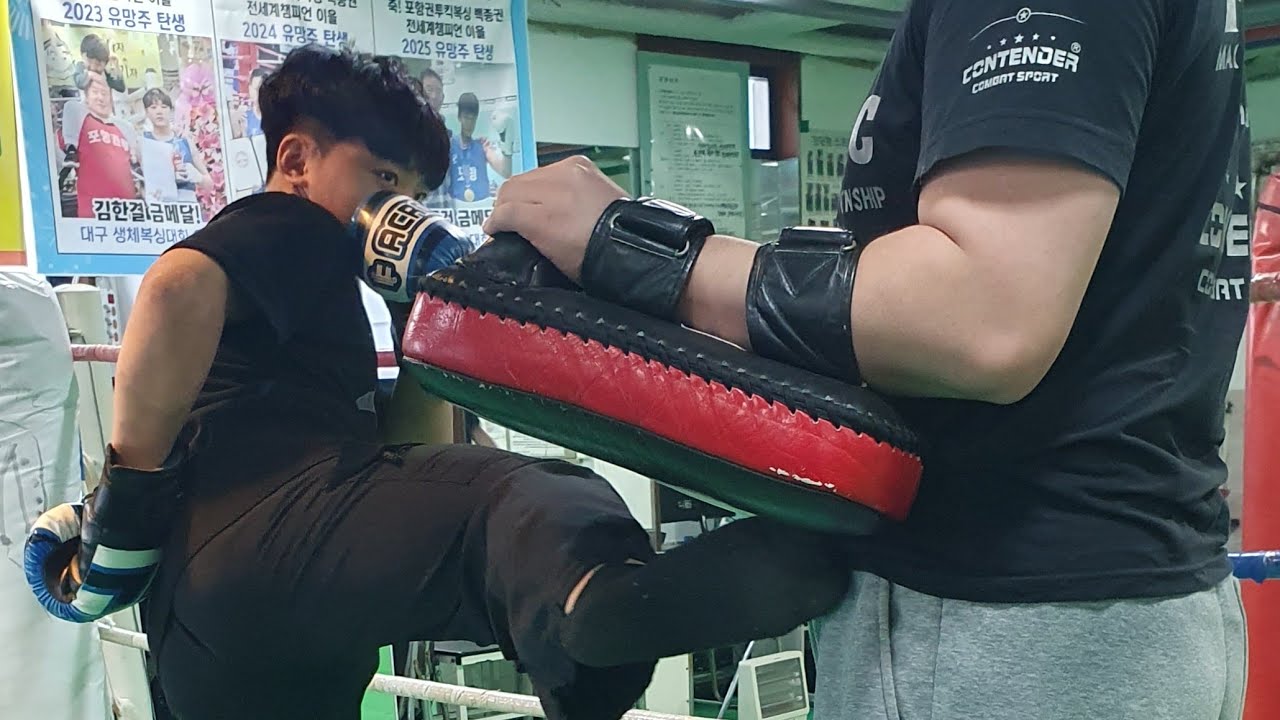 세계챔피언되는 포항권투킥복싱 라이브 중