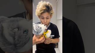  Am Jouji Funny shorts