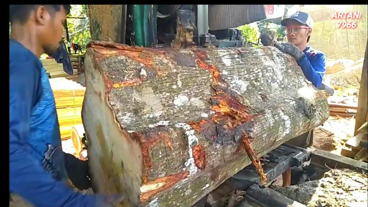 BESAR BESAR SEMUA KAYUNYA