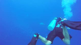 Dive Site in Palau - German Channel