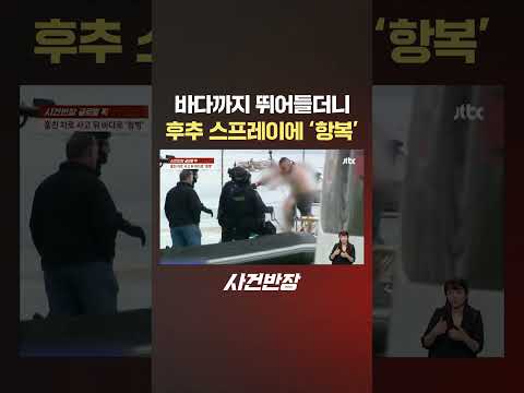 바다까지 뛰어들더니 &amp;quot;으악!&amp;quot;…후추 스프레이 맞고 &amp;#39;항복&amp;#39; 왜? #JTBC #Short